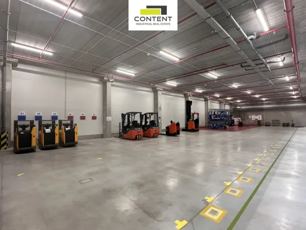 Pronájem skladu, Pavlov, 6689 m2