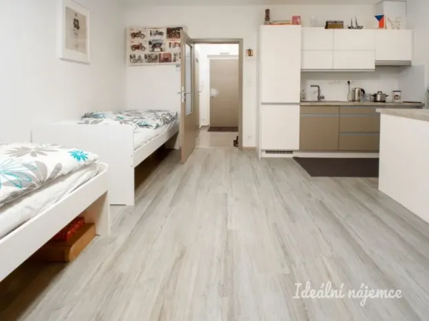 Pronájem bytu 1+kk, Brno - Žebětín, Lišejníková, 35 m2