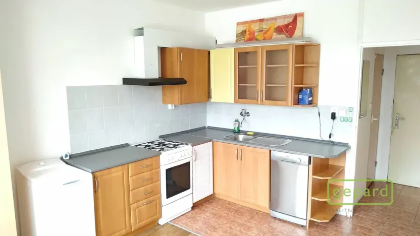 Pronájem bytu 1+1, České Budějovice, J. Opletala, 37 m2