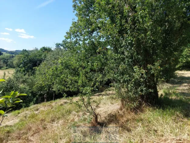 Pronájem zahrady, Krnov - Pod Bezručovým vrchem, Bruntálská, 400 m2