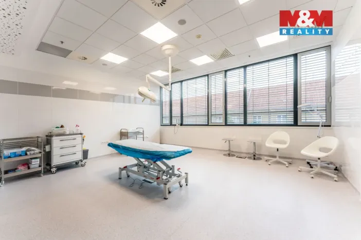 Pronájem komerční nemovitosti, Praha, Jihlavská, 30 m2