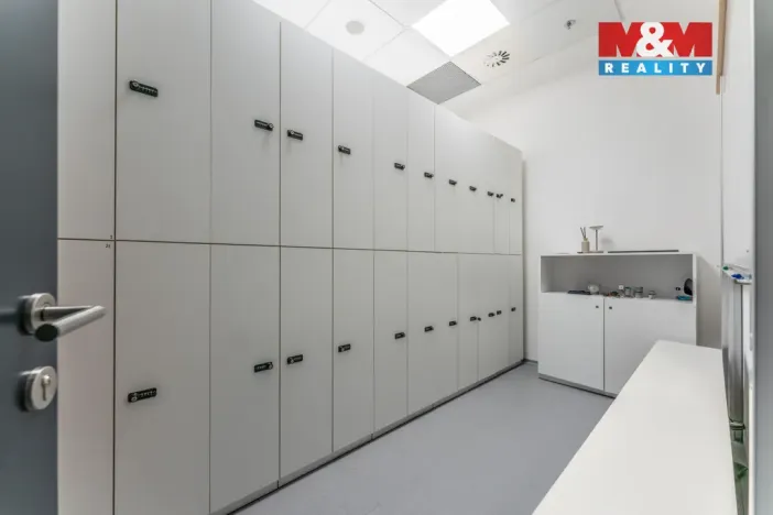 Pronájem komerční nemovitosti, Praha, Jihlavská, 30 m2