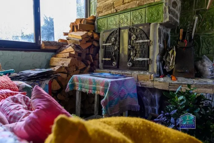 Prodej rodinného domu, Bor - Damnov, 310 m2