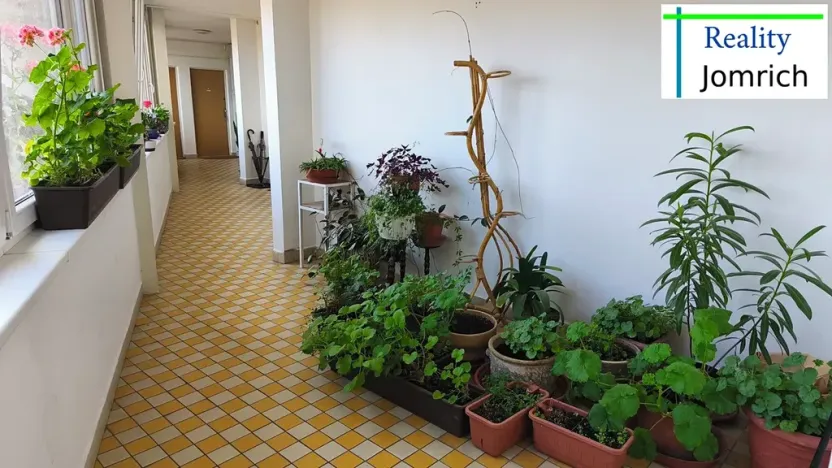 Prodej bytu 1+1, Liberec, Franklinova, 30 m2