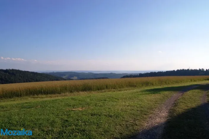 Prodej louky, Výprachtice, 867 m2