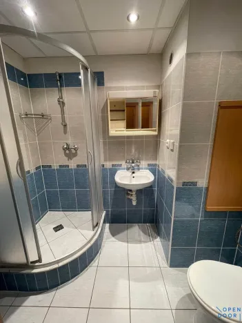 Pronájem bytu 1+1, Jirkov, Bedřicha Pacholíka, 35 m2