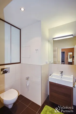 Pronájem bytu 2+kk, Praha - Hlubočepy, Geologická, 41 m2