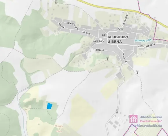 Prodej lesa, Klobouky u Brna, 4858 m2