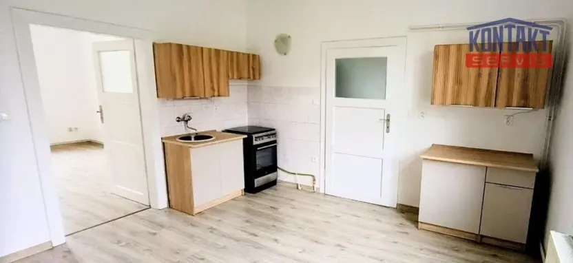 Pronájem bytu 1+1, České Budějovice, E. Beneše, 45 m2