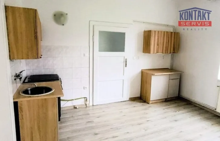 Pronájem bytu 1+1, České Budějovice, E. Beneše, 45 m2