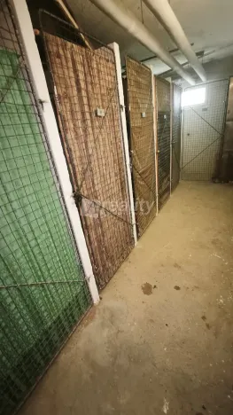 Pronájem bytu 2+1, Náměšť nad Oslavou, 55 m2