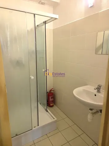 Pronájem bytu 1+1, České Budějovice, Dr. Stejskala, 59 m2