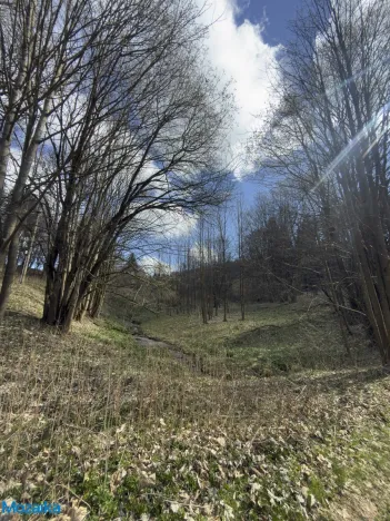 Prodej louky, Výprachtice, 9974 m2