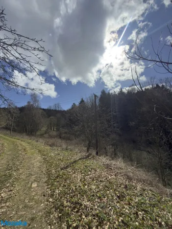 Prodej louky, Výprachtice, 9974 m2