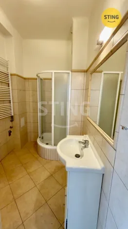Pronájem bytu 4+1, Ostrava, Denisova, 117 m2