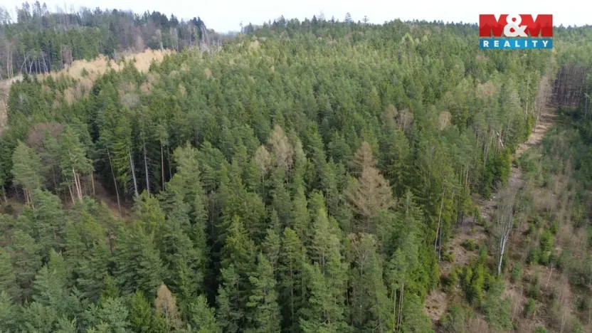 Prodej lesa, Mrákotín, 7873 m2
