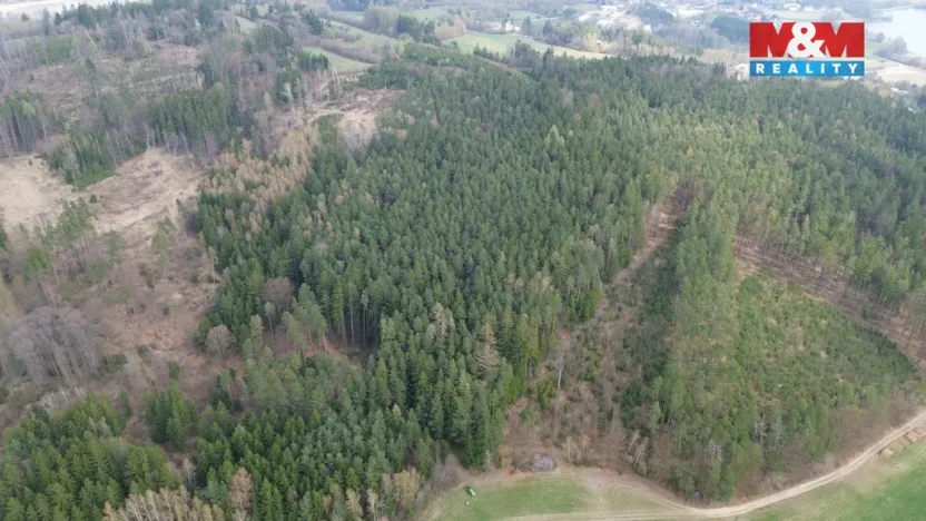 Prodej lesa, Mrákotín, 7873 m2