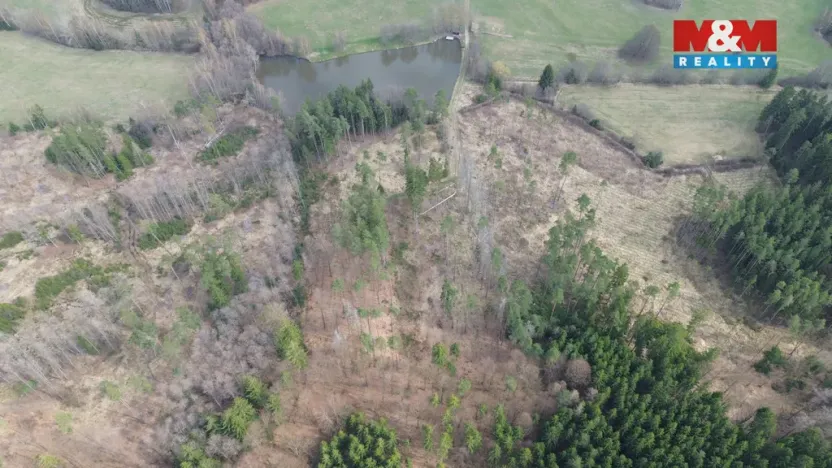 Prodej lesa, Mrákotín, 7873 m2