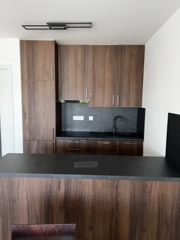 Pronájem bytu 1+kk, České Budějovice, Chelčického, 47 m2