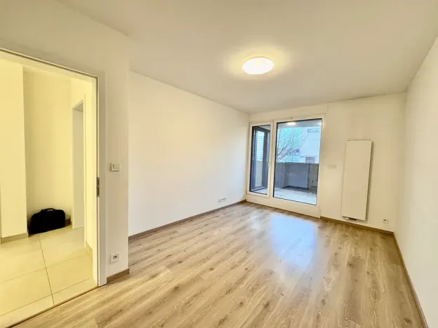 Prodej bytu 2+1, Brno, U Červeného mlýna, 57 m2
