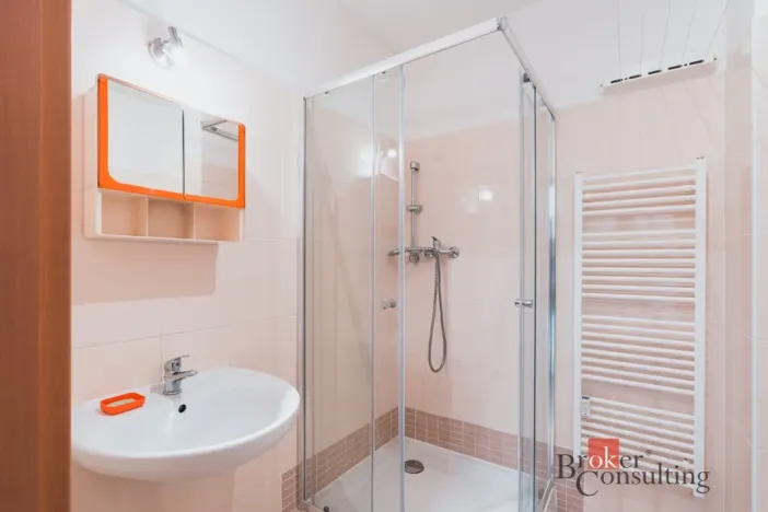 Prodej bytu 1+1, Milovice - Mladá, Kaštanová, 49 m2