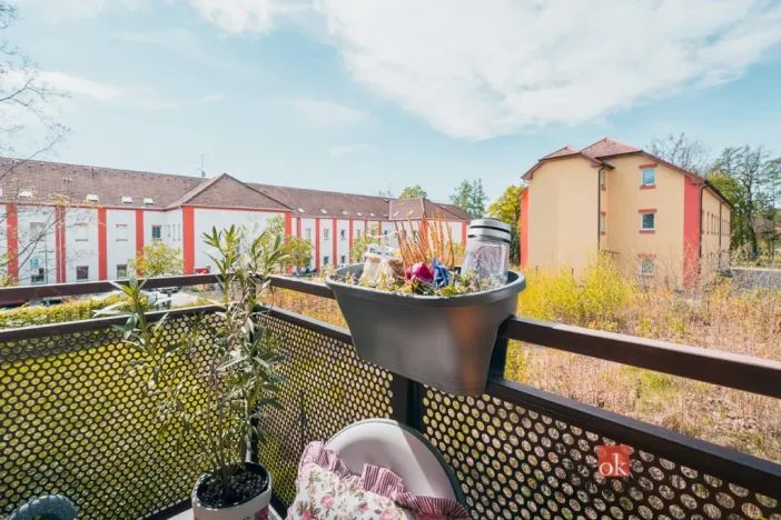 Prodej bytu 1+1, Milovice - Mladá, Kaštanová, 49 m2