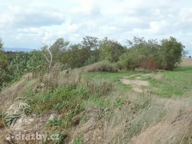 Dražba pozemku, Žatec, 264996 m2