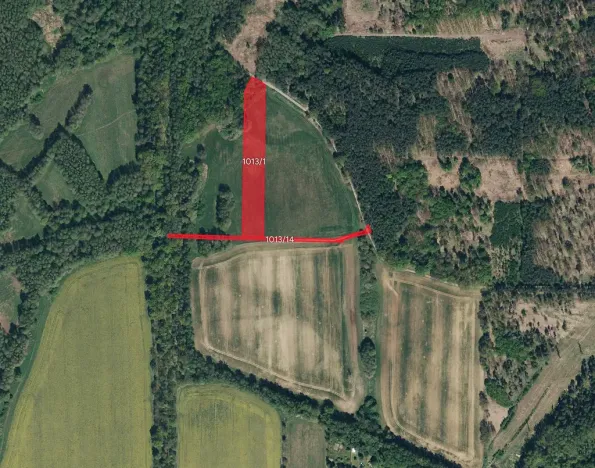 Prodej louky, Lázně Bohdaneč, 10075 m2