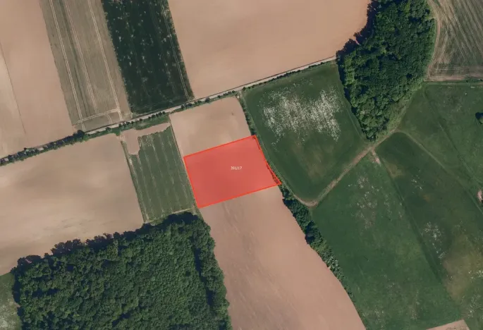 Prodej pole, Bezuchov, 11210 m2