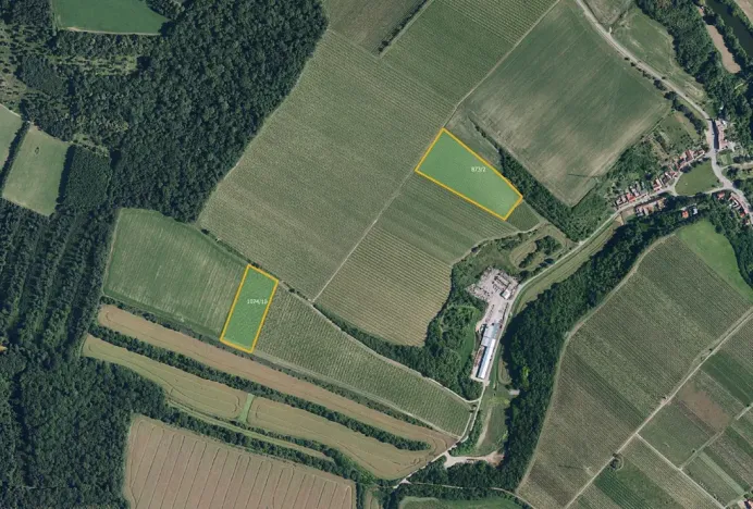 Prodej sadu/vinice, Bulhary, 30390 m2