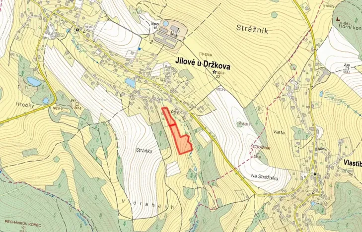 Prodej louky, Jílové u Držkova, 3303 m2