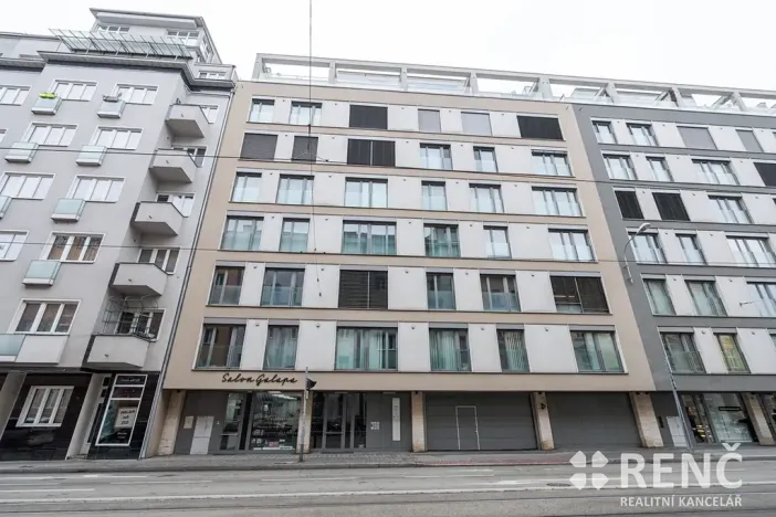 Pronájem bytu 1+kk, Brno, Milady Horákové, 44 m2