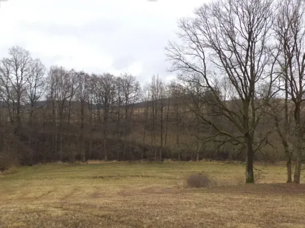 Dražba louky, Mladá Vožice, 26557 m2