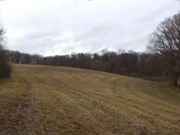 Dražba louky, Mladá Vožice, 26557 m2
