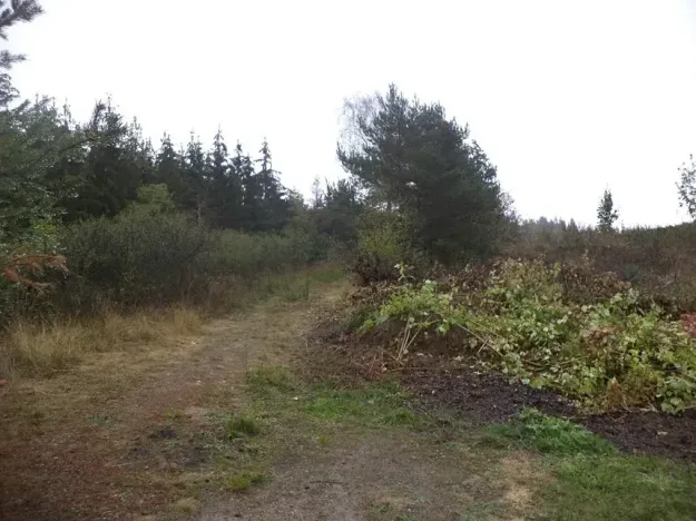 Dražba louky, Peč, 7060 m2