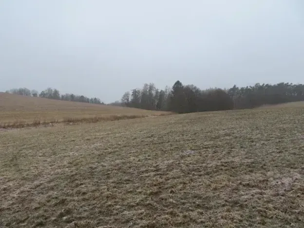 Dražba rodinného domu, Teplýšovice, 563 m2