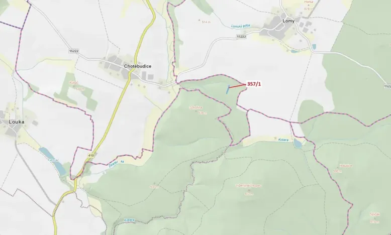 Dražba lesa, Chotěbudice, 1670 m2