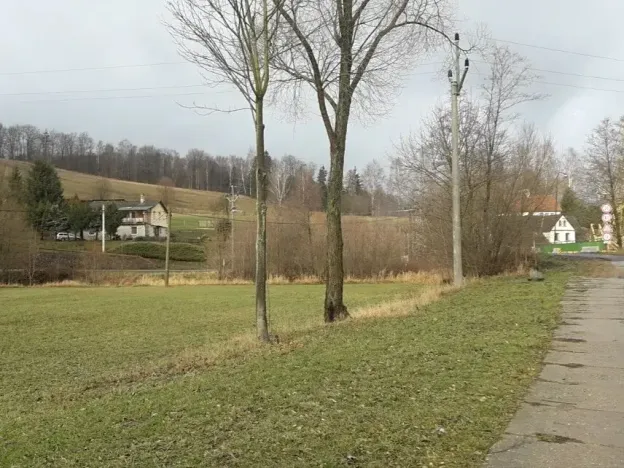 Dražba louky, Teplice nad Metují, 1315 m2