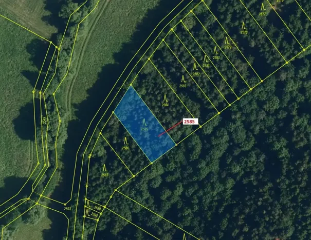 Dražba lesa, Chotěbudice, 774 m2