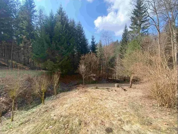 Dražba zahrady, Rokytnice v Orlických horách, 858 m2