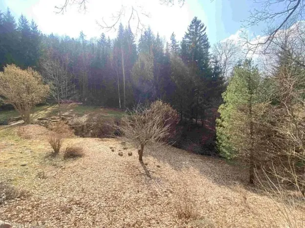 Dražba zahrady, Rokytnice v Orlických horách, 858 m2