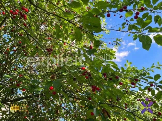 Prodej chaty, Zlín - Malenovice, 18 m2
