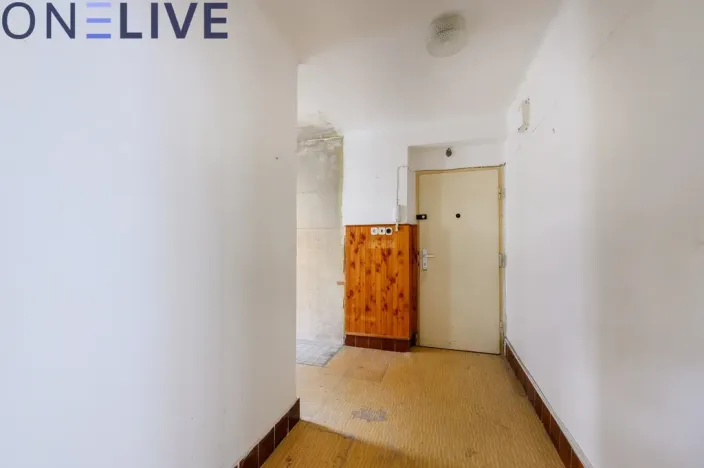 Prodej bytu 2+1, Plzeň, Mánesova, 56 m2