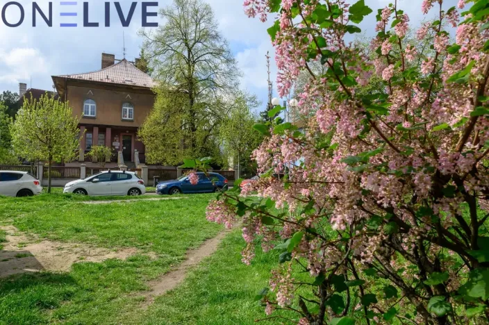 Prodej bytu 2+1, Plzeň, Mánesova, 56 m2