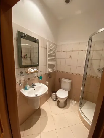 Prodej bytu 2+kk, Karlovy Vary, Zámecký vrch, 59 m2