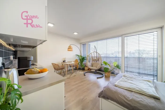 Pronájem bytu 1+kk, Brno - Královo Pole, Kollárova, 39 m2