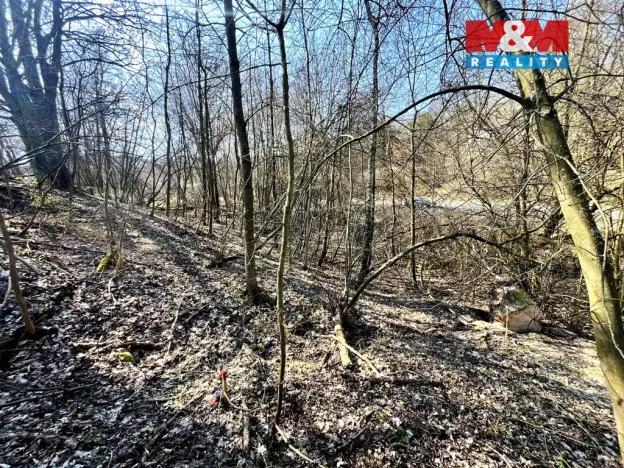 Prodej pozemku pro bydlení, Heřmanov - Fojtovice, 835 m2