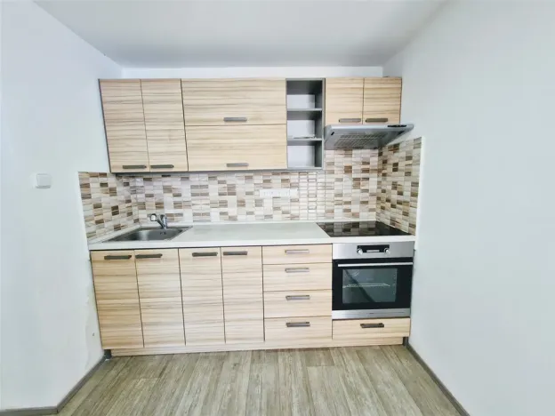 Pronájem bytu 1+1, Ústí nad Labem - Ústí nad Labem-centrum, Koněvova, 52 m2