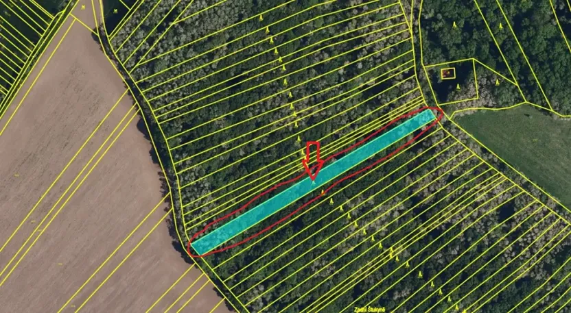 Prodej podílu lesa, Nikolčice, 2475 m2