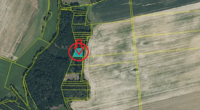 Prodej podílu lesa, Puclice, 12856 m2